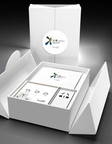 智绘未来，悦享生活——智能家居产品LOGO与包装设计方案