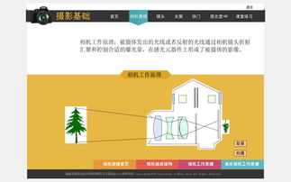 多媒体设计与制作专业 探索移动应用与广告媒体的视觉创意世界